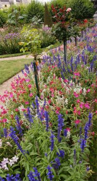 Flowers in Bourges centre