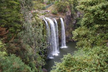 Whangarei Falls