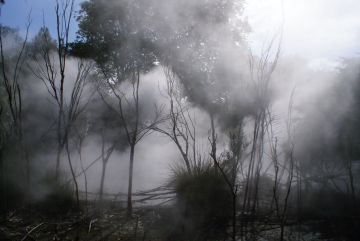 Rotorua thermal park