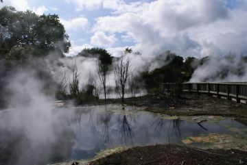 Rotorua thermal area