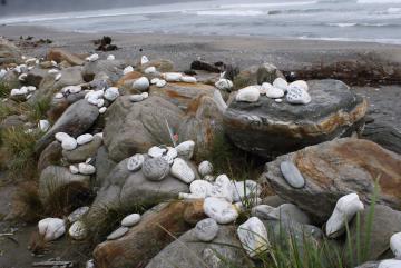 South Island messages on a stone