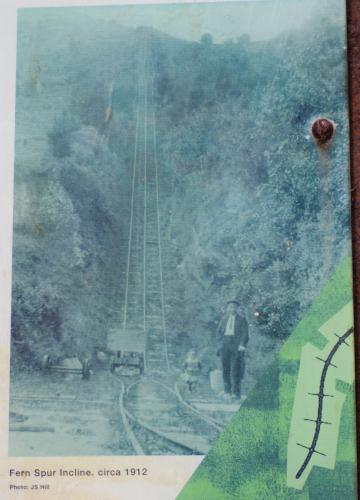 Fern Spur incline at Waiorongomai