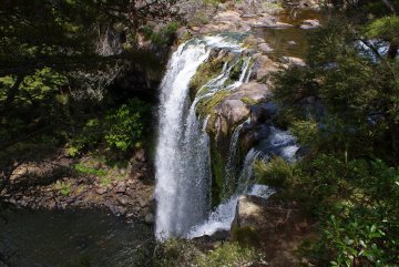 Kerikeri waterfall