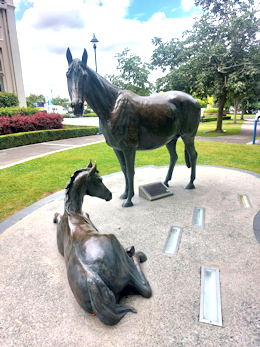 Mare and Foal in Cambridge