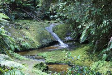 Forgotten Highway New Zealand